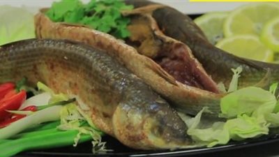 أسعار الفسيخ والرنجة اليوم الخميس في الأسواق