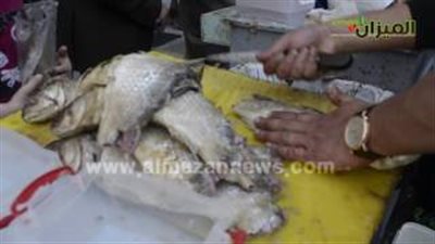 بالفيديو.. إقبال ضعيف على شراء الفسيخ
