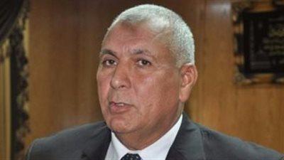 محافظ الوادي الجديد: حصر الآبار الكبريتية لضمها للسياحة العلاجية 