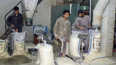 «مطاحن ومخابز الإسكندرية» ترفع رأس مالها لـ200 مليون جنيه