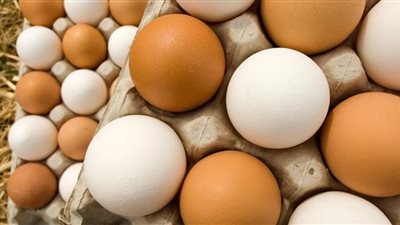 أسعار الدواجن اليوم الثلاثاء.. وكرتونة البيض تسجل 35 جنيهًا