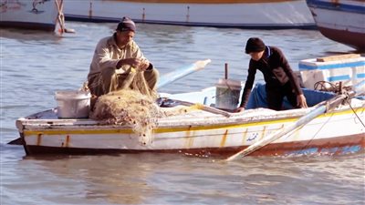 شاهد.. إسكندرية «أيووه يا عالم ع المنظر»