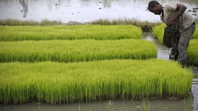 عمومية «نيوداب» تناقش توزيعات الأرباح.. 10 مايو