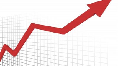 «الدسوقي»: شركات قطاع الأعمال الخاسرة تفتقر للموارد