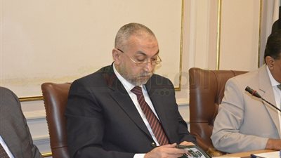 بالصور.. «على شكري»: مصر تسعى لفتح فرص استثمارية جديدة مع باكستان