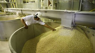 50 % ارتفاعًا بأرباح «مطاحن الإسكندرية» فى 3 أشهر