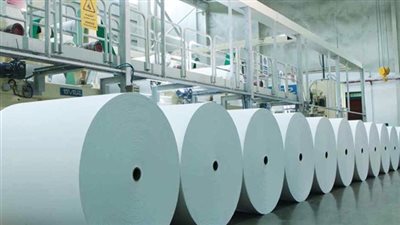 «شعبة الورق»: «قلة الخامات» أبرز مشكلات الصناعة