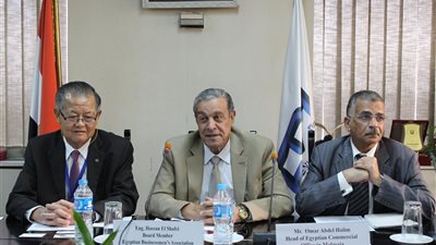 «الشافعي»: مشاكل المستثمرين لا تحتاج قانون جديد