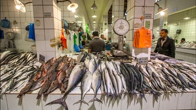 انخفاض أسعار الأسماك اليوم.. و«البلطي» يسجل 27 جنيهًا بـ«العبور» 