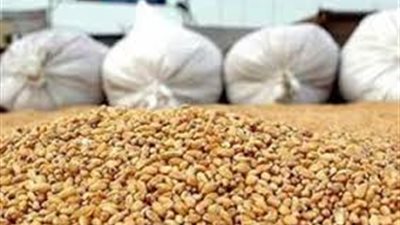 «التموين» تتسلم 110.682 طن قمح حتى أمس