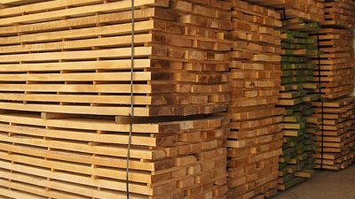 بعد 6 أشهر من تعويم الجنيه.. «القابضة للنقل»: توفير العملة عقبة أمام الشركة