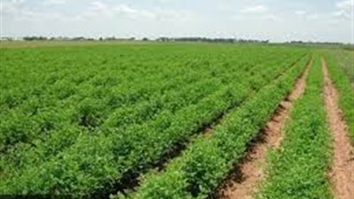 اليوم.. عمومية «أطلس لاستصلاح الأراضي» تنظر تأسيس شركة «استثمار عقاري»