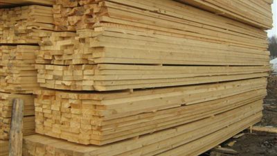 الغرف التجارية: «مصر تستورد 70% من الأخشاب»