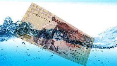 بعد 180 يومًا من القرار.. «حسانين»:«تعويم الجنيه» فشل في إنقاذ السياحة