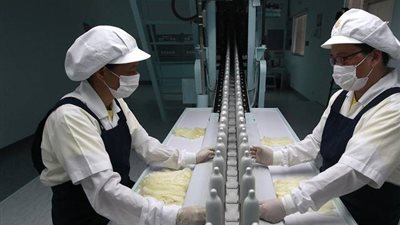 243 % ارتفاعًا بأرباح «ممفيس» خلال 3 أشهر