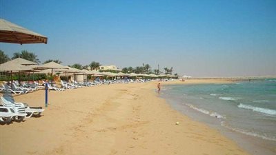 عمومية «جولدن كوست» تُقر توزيع 0.83 جنيه نقدًا