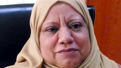 شمال الدلتا للكهرباء: 230 مليون جنيه لأعمال التركيبات خلال 2017