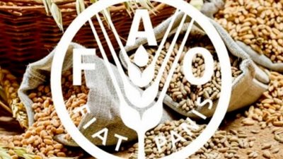 «فاو»: تراجع أسعار الغذاء العالمية.. ومصر المستفيد الأكبر