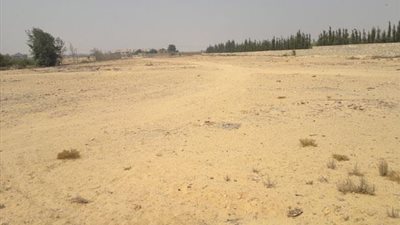 «دمياط»: الأحد المقبل بدء تسليم الأراضي الأكثر تميزًا للفائزين بالقرعة