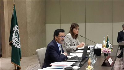بدء المجلس التنفيذي لمنظمة التنمية الإدارية العربية بمشاركة وزيرة التخطيط