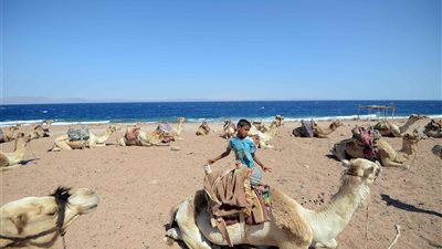 بالصور| دهب وطابا متعة التأمل والاستجمام