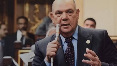 «النواب»: ترميم المساجد الأثرية بالدرب الأحمر والسيدة عائشة