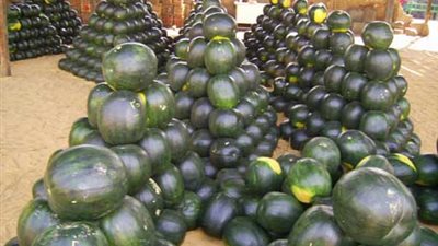 ارتفاع أسعار الفاكهة.. والليمون بـ20 جنيه