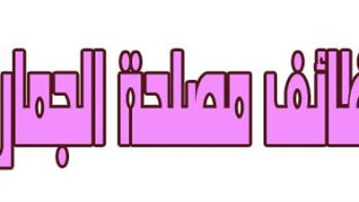 أسماء ومواعيد القبول بوظائف مصلحة الجمارك