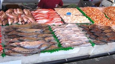 أسعار الأسماك اليوم الثلاثاء..والبلطي الأسواني بـ23 جنيهًا 