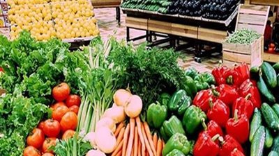 «غرفة الإسكندرية»: الصرف الصحي دمر الصادرات الزراعية 