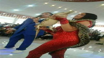 «الراقصة والثعبان» أخر تقاليع مراجعات «الثانوية».. والأرباح بالمليارات