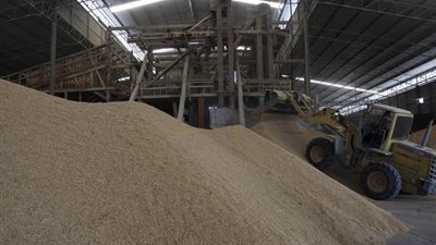 الأربعاء.. عمومية «مطاحن ومخابز الإسكندرية» تعتمد الموازنة التخطيطية