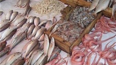 أسعار الأسماك اليوم الجمعة.. والكابوريا بـ70 جنيهًا