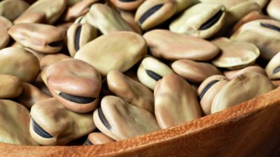 شعبة الحبوب: 25% زيادة في أسعار الفول والفاصوليا 