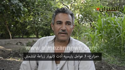 شاهد.. 3 عوامل رئيسية وراء انهيار زراعة «مشمش العمار»