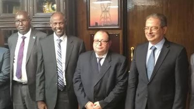 مصر والصومال تتفقان على نقاط التعاون لمشروعات الطاقة المتجددة