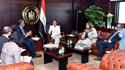 1.5 مليار دولار استثمارات مرتقبة لـ«سانمار الهندية» بمصر