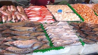  أسعار الأسماك اليوم السبت.. والبلطي بـ28 جنيهًا