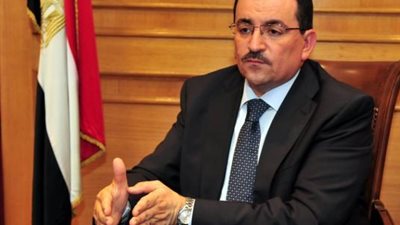 هيكل: قطع العلاقات مع قطر لأنها تأوي الإرهاب