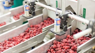 «توب لاين» للصناعات الغذائية: الإمارات والكويت أحدث أسواق الشركة