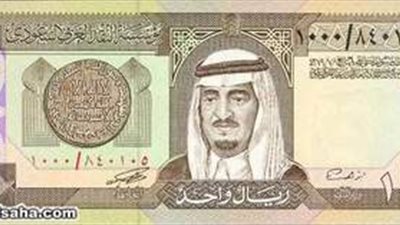 العملات العربية تستقر.. والسعودي بـ 4.8 جنيه