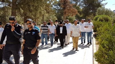 148 مستوطنا يهوديا يقتحمون المسجد الأقصى