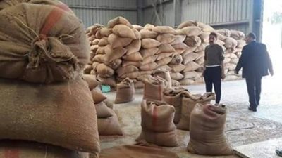 محافظ الغربية: توريد 172 ألف طن قمح بالشون والصوامع