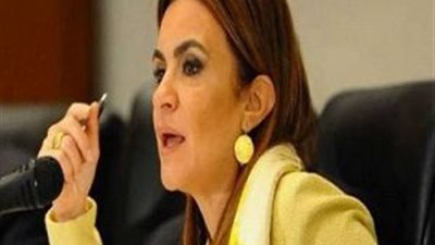 وزيرة الاستثمار: وضعنا خطة لزيادة عدد المناطق الحرة في المحافظات