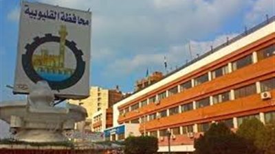 629 فرصة عمل جديدة للشباب بالقطاع الخاص بالقليوبية