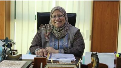 شمال الدلتا للتوزيع: لن نلجأ إلى تخفيف الأحمال