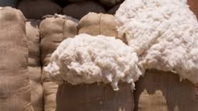 الإحصاء: 6.19 % زيادة في صادرات القطن خلال 3 شهور