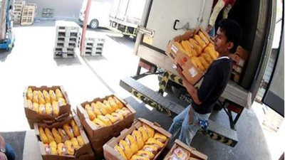 مصانع الأغذية القطرية تسعى لسد فجوة أحدثتها أزمة الخليج