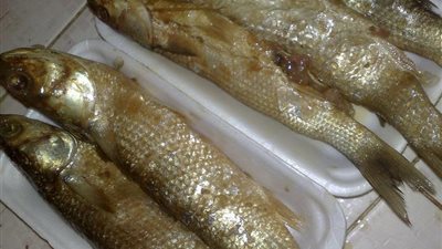 طريقة عمل الفسيخ بالمنزل بأقل تكلفة وأعلى جودة