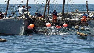 ورش عمل بوزارة التعليم العالي لإنقاذ بحيرة البرلس